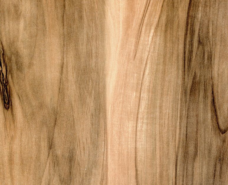 690_Indian tree
